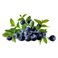 purasana BLUEBERRIES Dried & Sweetened 150 Gramm 