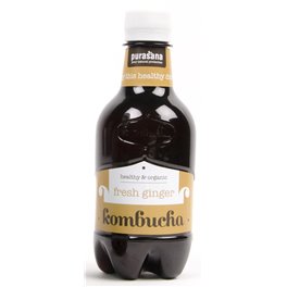 Purasana Kombucha Fresh GINGER 330 ml PET Belgien