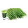 purasana WHEAT GRASS Raw Powder 200 Gramm 