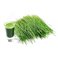 purasana BARLEY GRASS Raw Powder 200 Gramm 